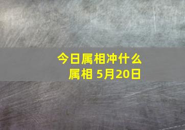 今日属相冲什么属相 5月20日